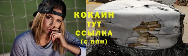 прущие крисы Новозыбков